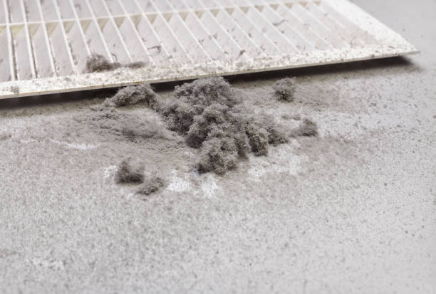 Best Air Duct Cleaning Near Me in Combee Settlement, FL