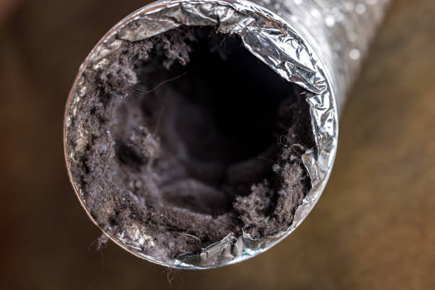 Best Best Air Duct Cleaning Company  in Combee Settlement, FL
