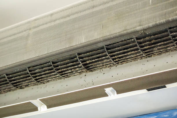 Best Ductwork Cleaning Services  in Combee Settlement, FL